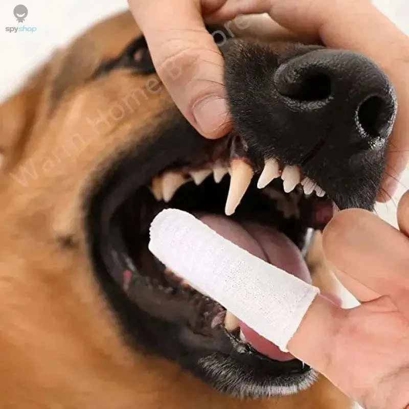 Two-Finger Pet Dental Cleaning Wipes for Cats & Dogs-Finger Cots / 12pcs