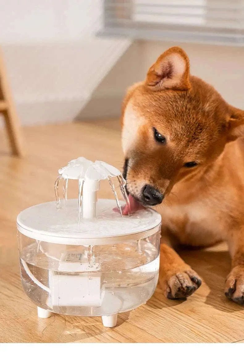 USB Electric Pet Water Fountain 1L Automatic Cat Dispenser-2 / USB Plug  DC5V / 1L