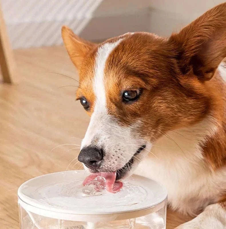 USB Electric Pet Water Fountain 1L Automatic Cat Dispenser-2 / USB Plug  DC5V / 1L