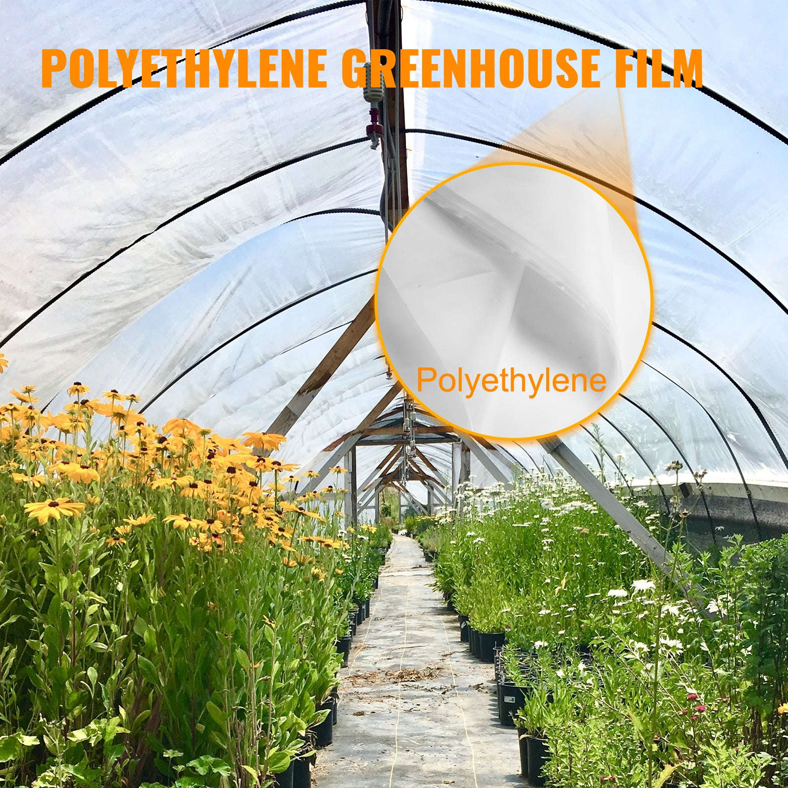 UV Resistant Polyethylene Greenhouse Film Cover 16 x 28 ft-12x25FT / Germany