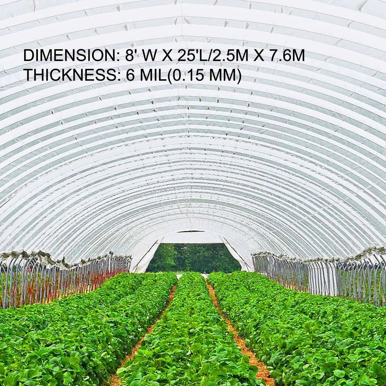 UV Resistant Polyethylene Greenhouse Film Cover 16 x 28 ft-12x25FT / Germany