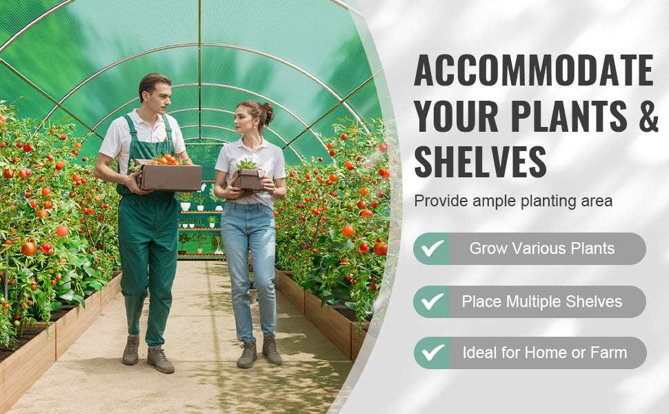 Walk-In Tunnel Greenhouse with PE Cover Steel Frame 11.3x6.4x6.3 ft-20x10x7ft green / United States / Green 20x10x7 ft