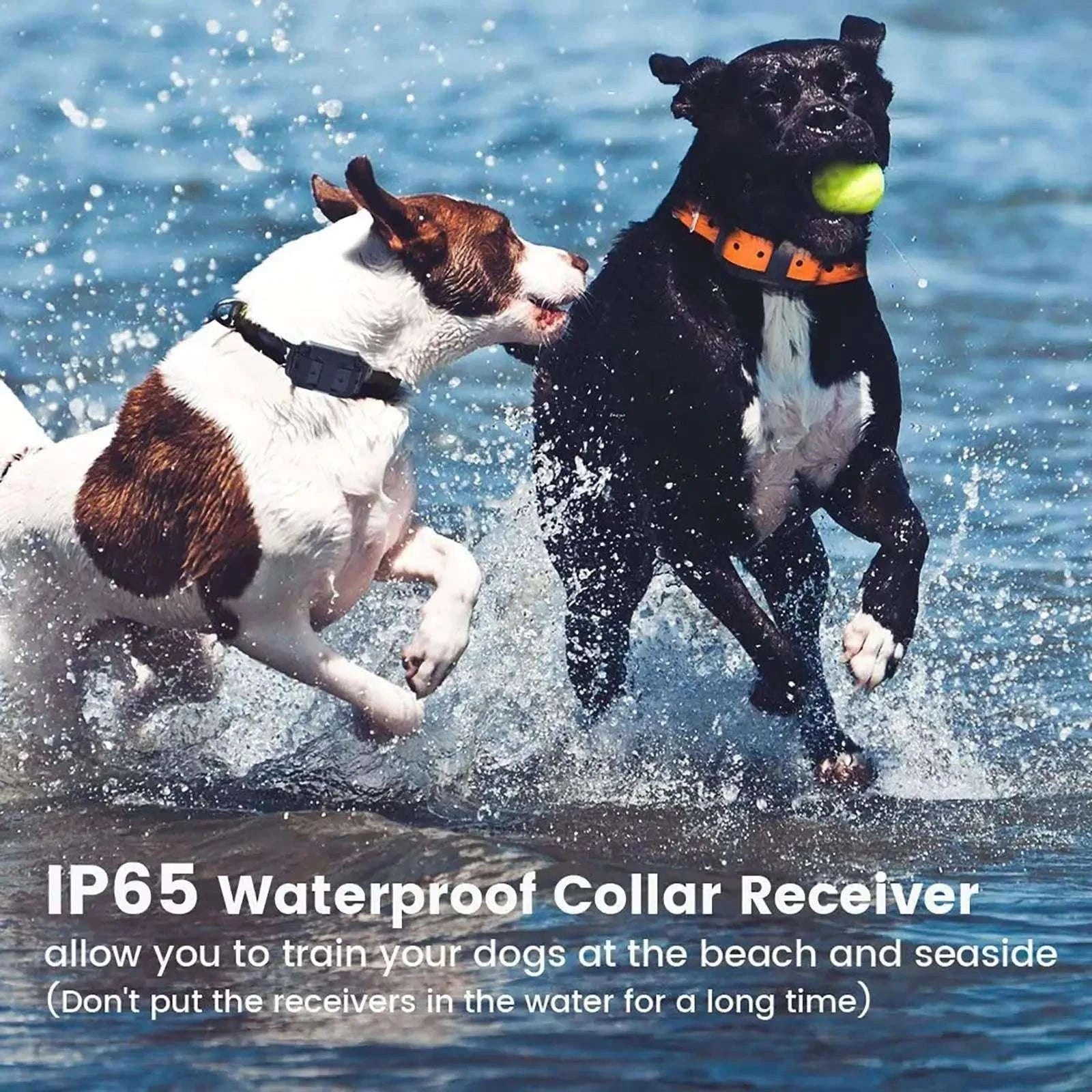 Waterproof Dog Training Collar with Remote, Rechargeable Anti-Bark-For 2 Dogs