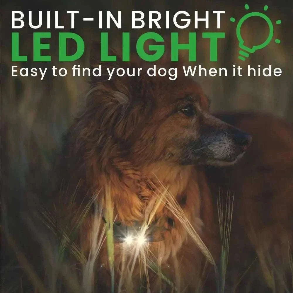 Waterproof Dog Training Collar with Remote, Rechargeable Anti-Bark-For 2 Dogs