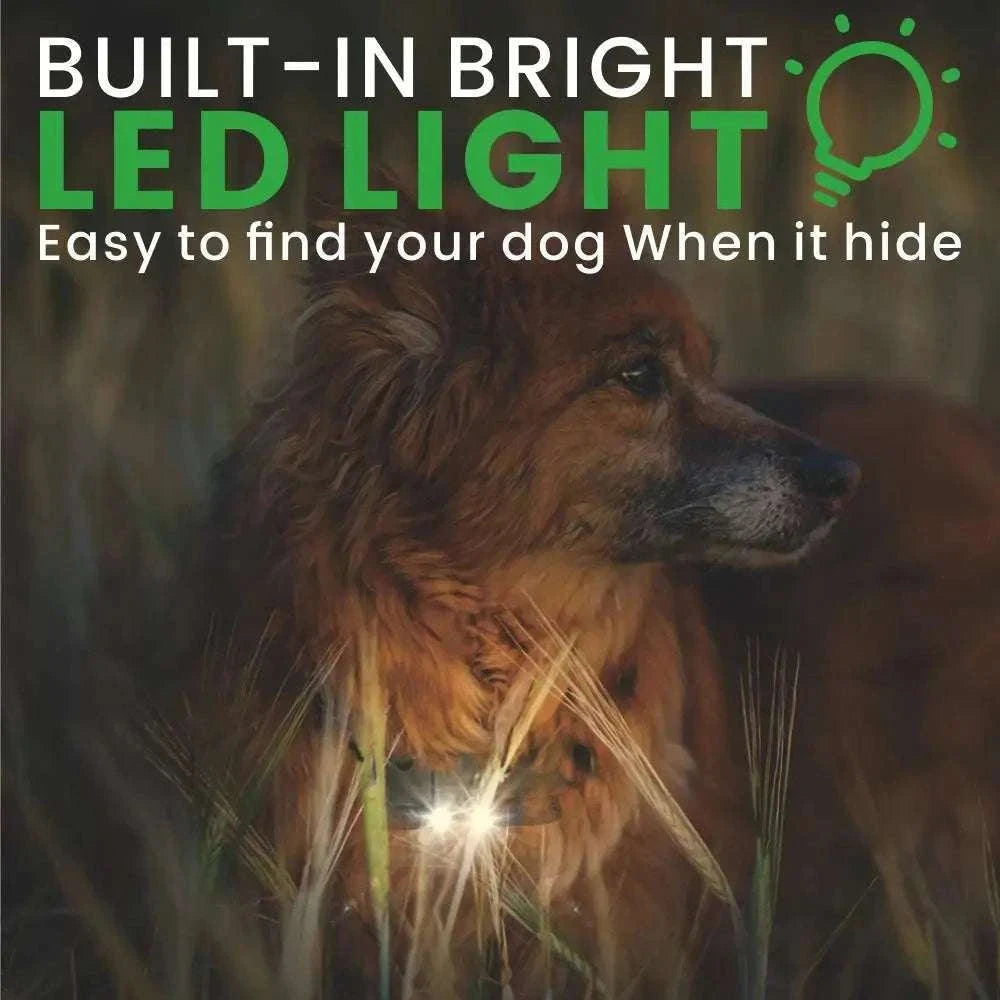 Waterproof Dog Training Collar with Remote, Rechargeable Anti-Bark-For 2 Dogs