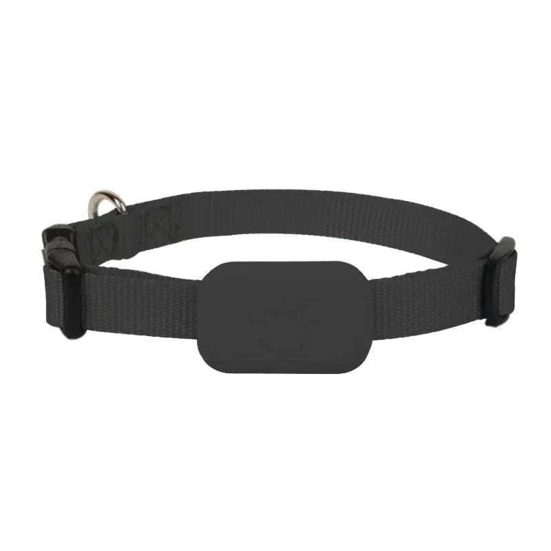 Waterproof Mini Dog GPS Animal Tracking Collar for Cats and Puppies-Blue