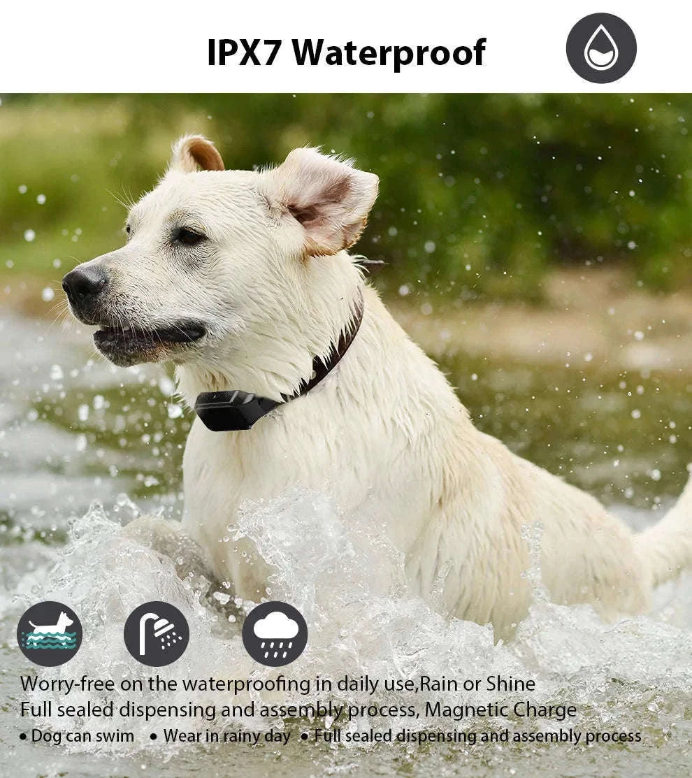 Waterproof Rechargeable Dog Training Collar with 500m Remote Control-black