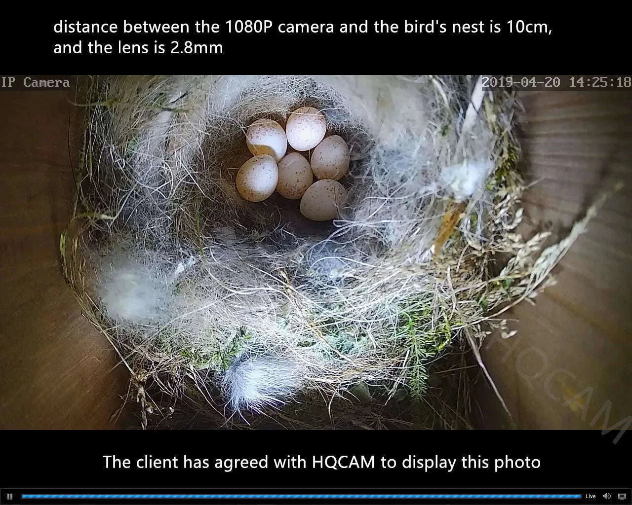 WiFi Bird Box Camera 5MP PoE Mini Nest Camera with Night Vision-2MP Package EU / 2.8mm