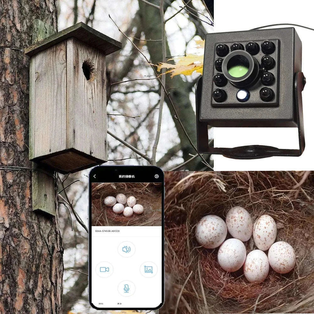 WiFi Bird Box Camera 5MP PoE Mini Nest Camera with Night Vision-2MP Package EU / 2.8mm