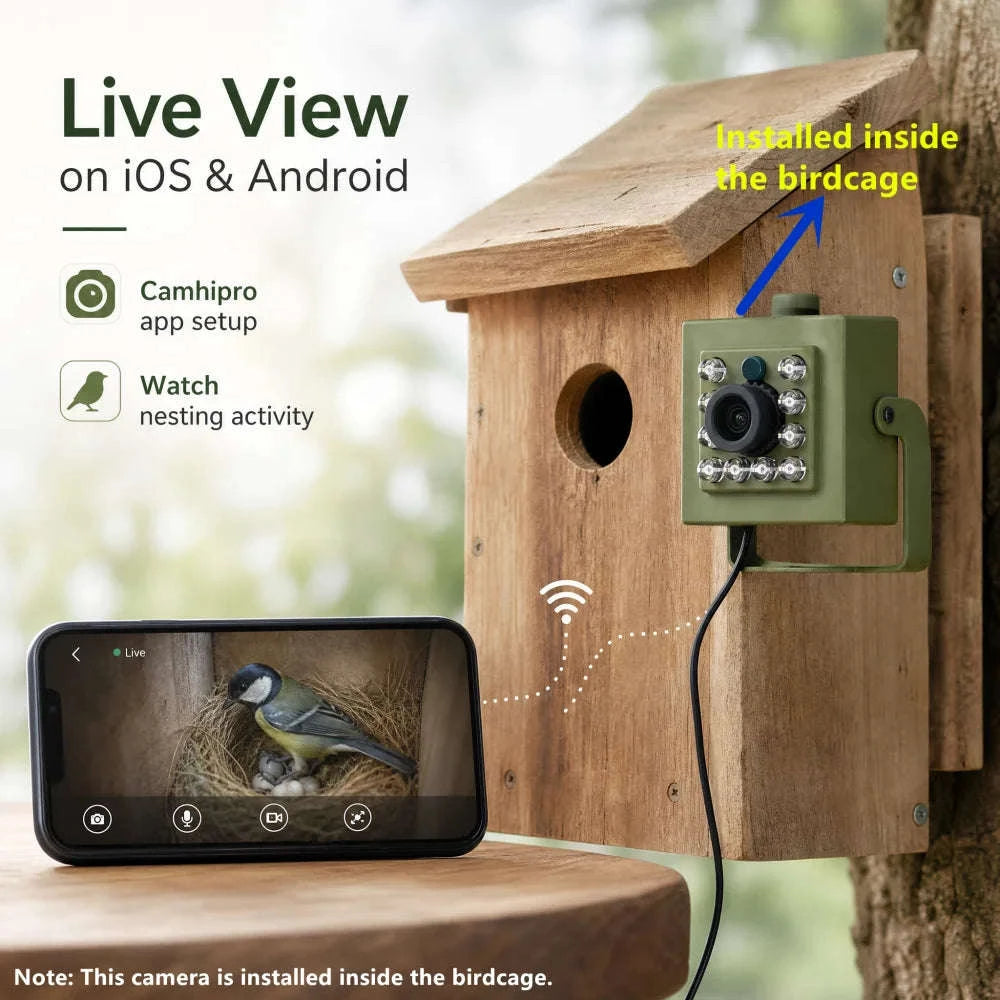 WiFi Bird Box HD Camera Starter Pack 2MP 5MP for Wildlife-2MP WIFI UK KIT