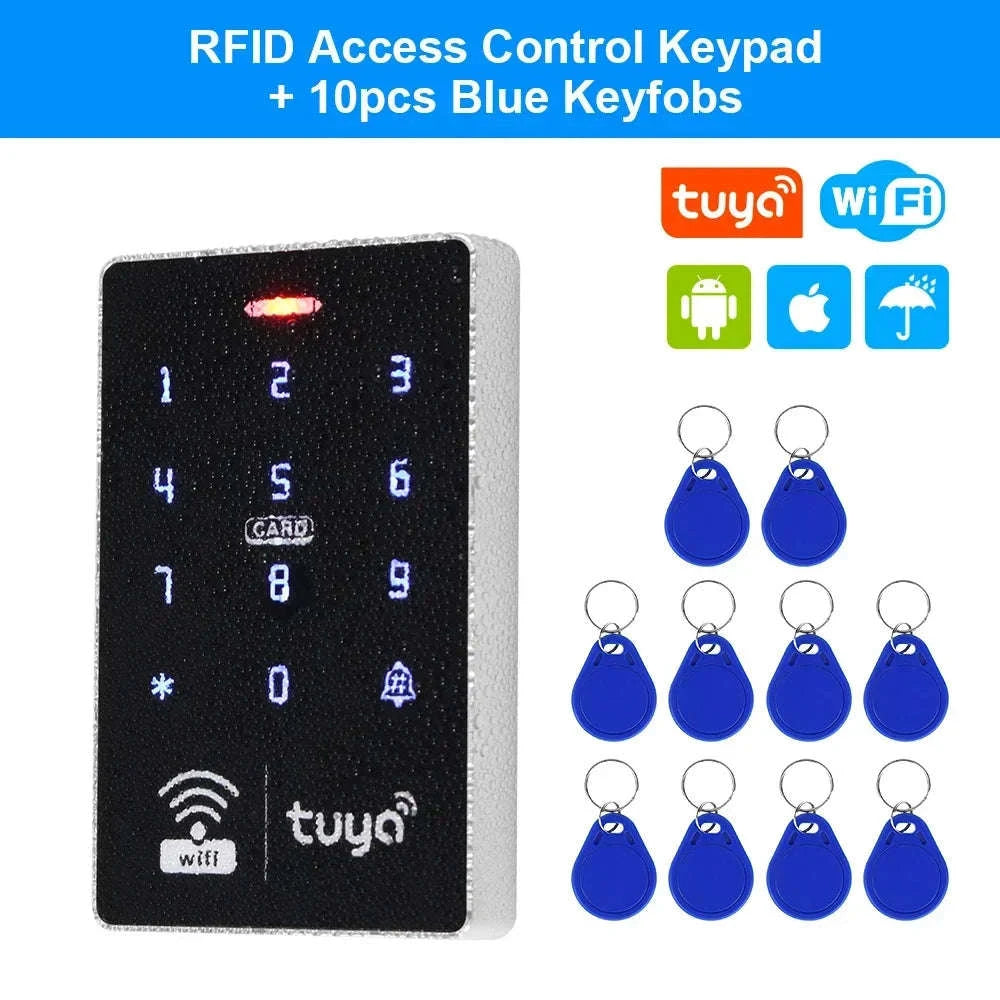 WiFi Tuya RFID Access Controller IP68 S10-with Blue Keys