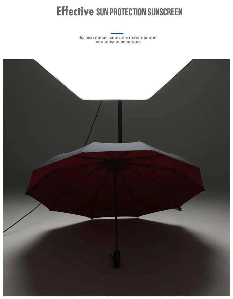 Windproof Automatic Umbrella with One-Touch Open and Close-blue