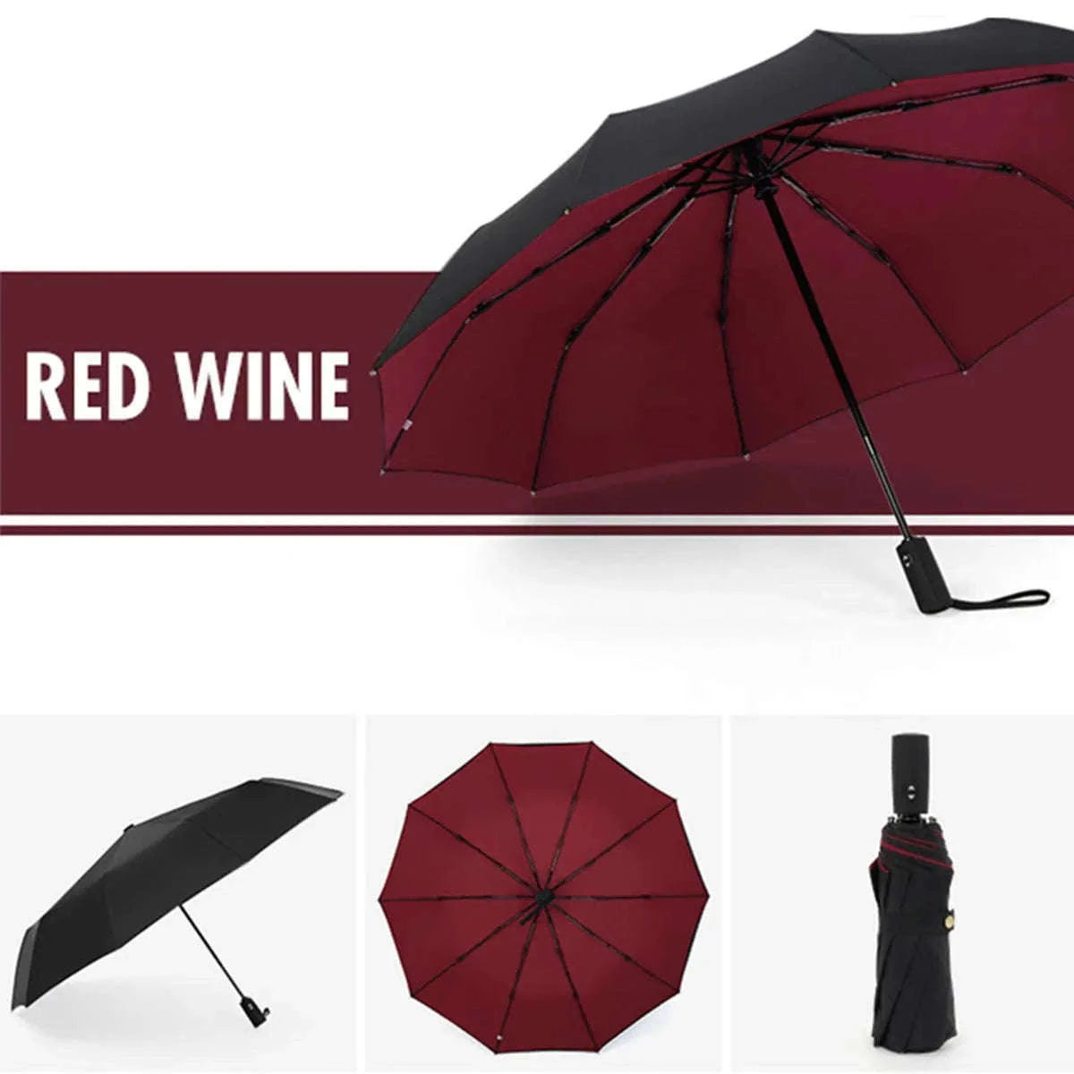Windproof Automatic Umbrella with One-Touch Open and Close-blue