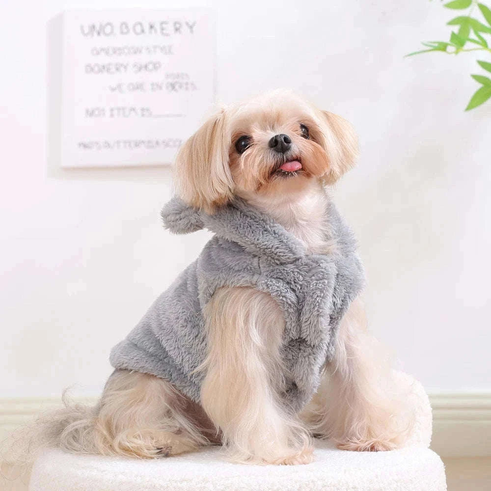 Winter Pet Hoodie Sweater for Small and Medium Dogs & Cats-Gray / S