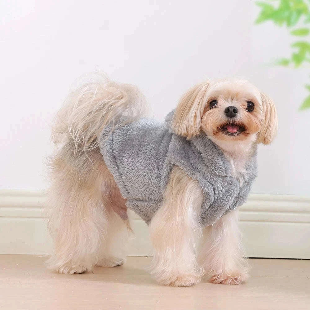 Winter Pet Hoodie Sweater for Small and Medium Dogs & Cats-Gray / S