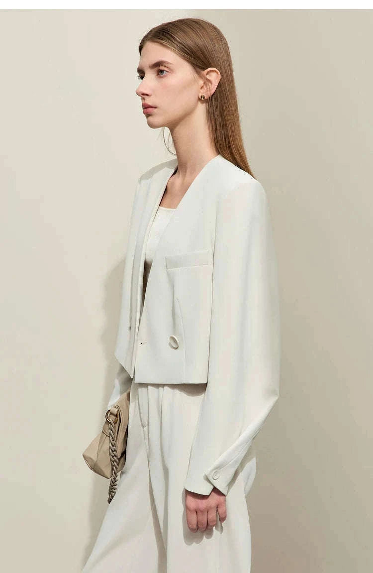 Women’s Loose V-Neck Blazer and Wide Leg Pants Suit Set-Black pants / XL