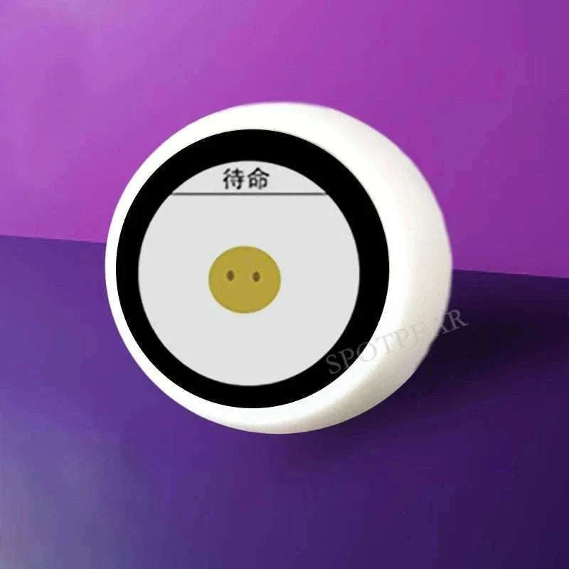 XiaoZhi AI Voice Chat Robot Ball for Home Assistant-With-Touch-With-BAT